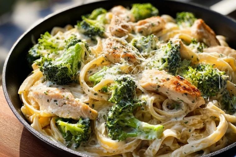 Creamy Chicken Broccoli Alfredo Pasta