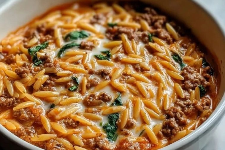 Ground Beef Orzo with Tomato Cream Sauce