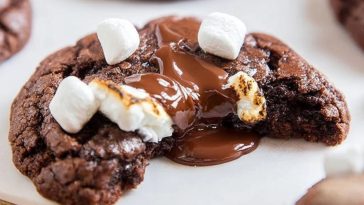 Hot Chocolate Christmas Cookies