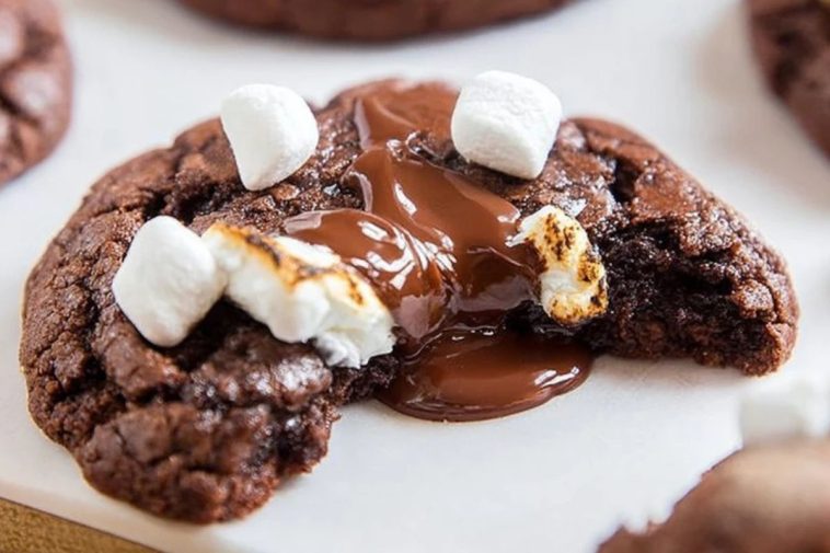 Hot Chocolate Christmas Cookies