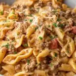 Creamy Rotel Pasta & Ground Beef