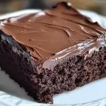 Chocolate Depression Cake