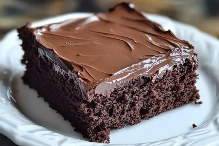 Chocolate Depression Cake
