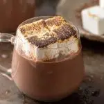 The Best Hot Cocoa in a Crock Pot