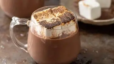 The Best Hot Cocoa in a Crock Pot