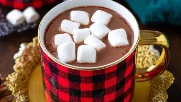 Crockpot Hot Chocolate
