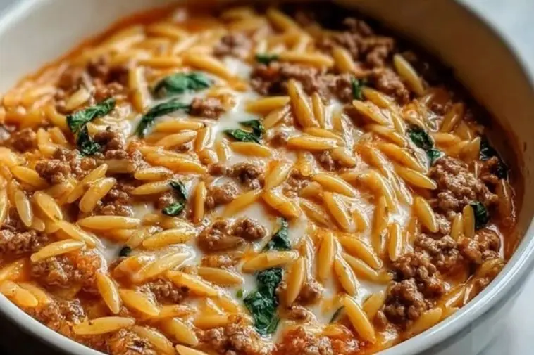 Ground Beef Orzo with Tomato Cream Sauce